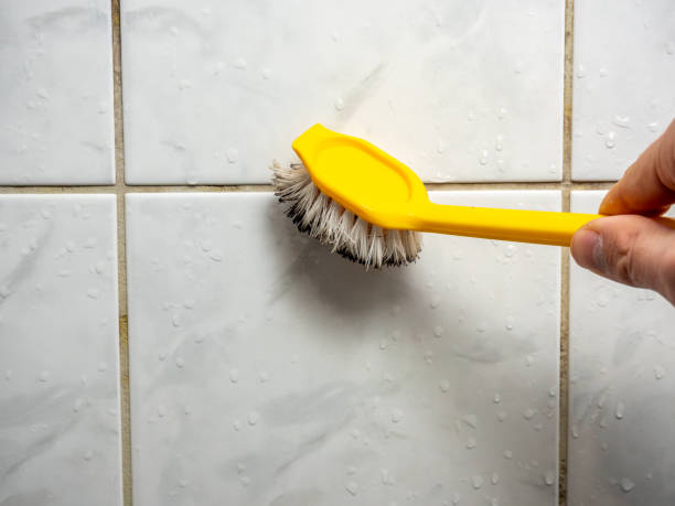 Water Damage Restoration in Fort Belvoir, VA
