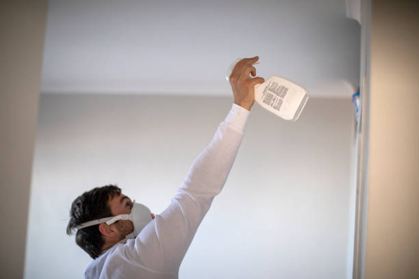 Best Local Mold Removal Service  in Fort Belvoir, VA