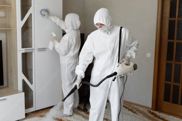 Best Certified Mold Removal  in Fort Belvoir, VA