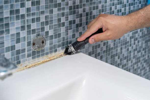 Best Same-Day Mold Removal  in Fort Belvoir, VA