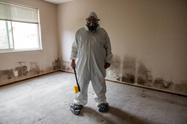 Fort Belvoir, VA Mold Removal Company